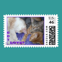 Kittens GOT LOVE? postage