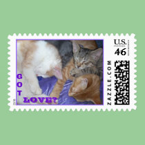 Kittens GOT LOVE? postage