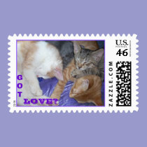 Kittens GOT LOVE? stamps
