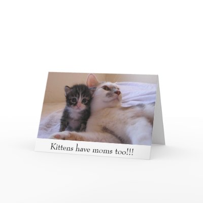 Kittens have moms too!!! card by okcshelter