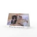 Kittens have moms too!!! cards by okcshelter Kittens have moms too!!! cards