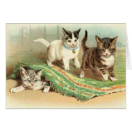 Kittens Hide and Seek card
