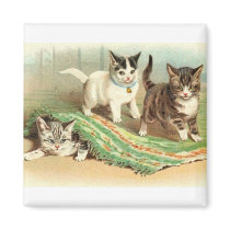 Kittens Hide and Seek Fridge Magnets