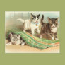 Kittens Hide and Seek Post Cards