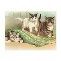 Kittens Hide and Seek Post Cards