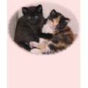 Kittens Hugging t-shirts by willyto1 Kittens Hugging t-shirts