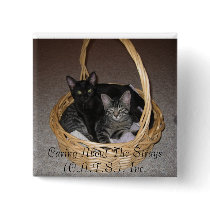 Kittens in a basket magnet buttons