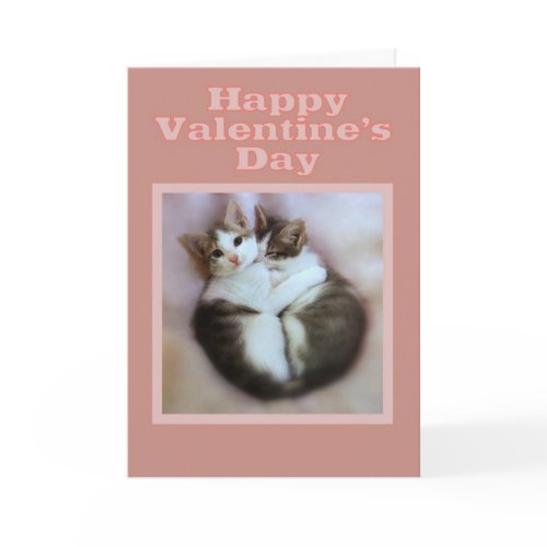 Kittens in Love Happy Valentine's Day card