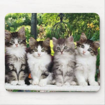 kittens in the garden mousepad