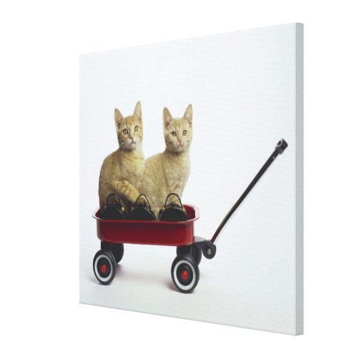 Kittens in wagon stretched canvas print
