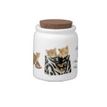 Kittens in Zebra Handbag Cat Treat Jar Candy Jar