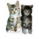 Kittens Kids T-Shirt