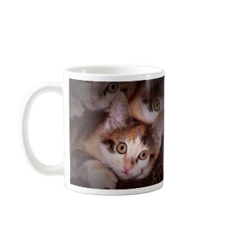 Kittens, Kittens, Kittens Mug mug