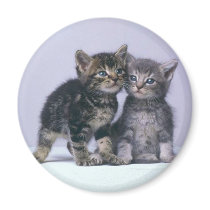kittens magnets by trish1968 kittens magnets