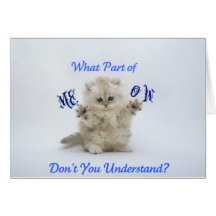 Kittens Meow Attitude Greeting Cards