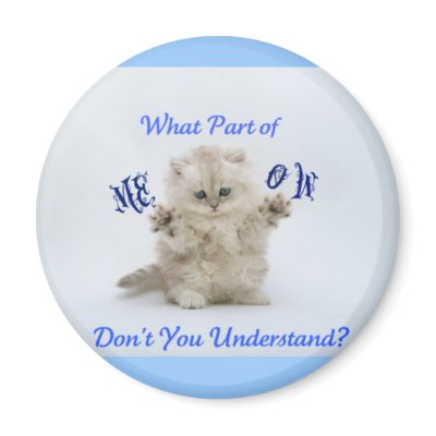 Kittens Meow Attitude Refrigerator Magnets by Precious_Prints