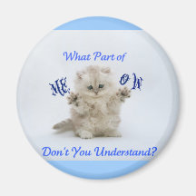 Kittens Meow Attitude Refrigerator Magnets