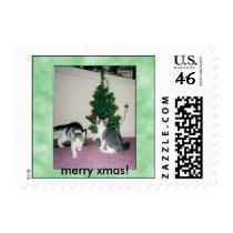 kittens-merry xmas postage by chrissyb1717 kittens-merry xmas postage