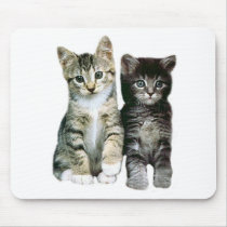 Kittens Mousepad