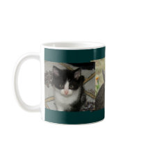 Kittens mug