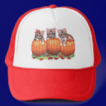 Kittens on Pumpkins for Halloween hats