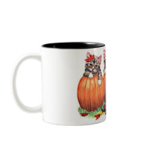 Kittens on Pumpkins for Halloween Coffee Mugs
