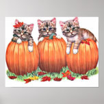 Kittens on Pumpkins Print