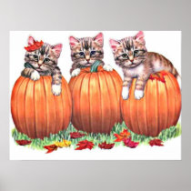 Kittens on Pumpkins Print