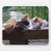Kittens on the pier Mousepad