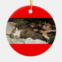 kittens ornament