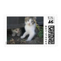 Kittens Playing on the Farm Stamps