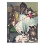 "Kittens Playing with Knitting Wool" Postcard