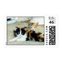 Kittens postage