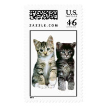 Kittens Postage