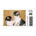 Kittens  postage