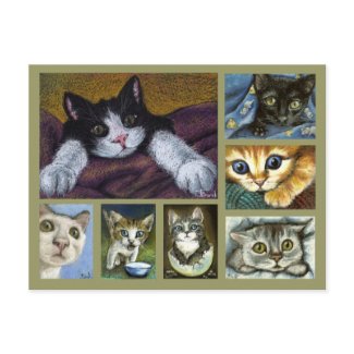 Kittens postcard