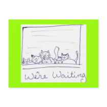 kittens postcards