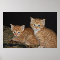 Kittens Poster