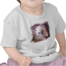 kittens shirt