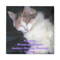 Kittens:Sleeping=AngelsAwake=Moving Obstical Co... magnets by minx267 Kittens:Sleeping=AngelsAwake=Moving Obstical Co... magnets