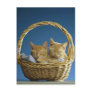 Kittens sleeping in basket post card