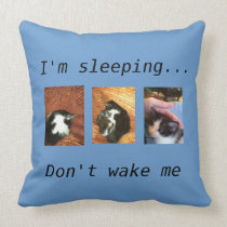 kittens sleeping on pillow by bbillips pillows