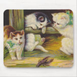 KITTENS STUDYING THE CRAWFISH  ~ MOUSEPAD