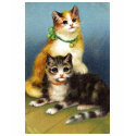 Kittens t-shirts by CircesLair Kittens t-shirts