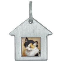 KITTENS Waking up Pet Tags