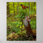 Kitten's wildlife friends Poster posters