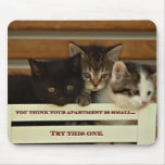 Kittie Fun Mousepad