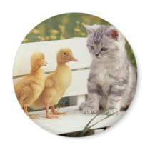 Kitties and Chicks Refrigerator Magnets