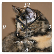 Kitties Any Time Now Wall Clock ! wall clocks
