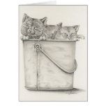 Kitties Card